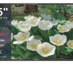 55" 4K Android Smart TV with AirPlay