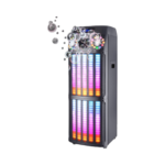 100W Dual 12-Inch Bluetooth Party Speaker